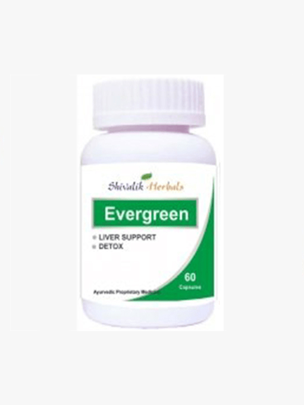 Evergreen medicine suppliers & exporter in delh
